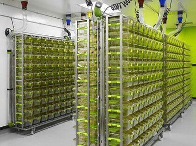 SPF级实验动物房建设规范与技术标准
