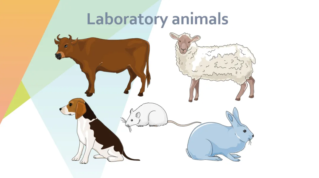 Key Points of Water Supply and Drainage Design for Type II Biosafety Laboratory