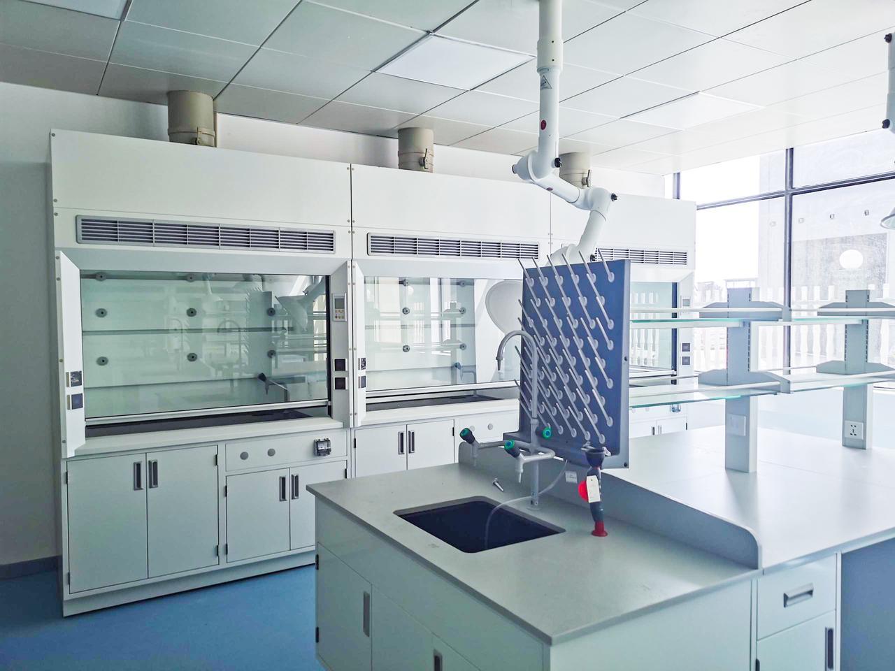 Building a professional food testing laboratory