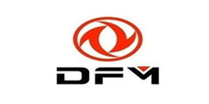 DFM
