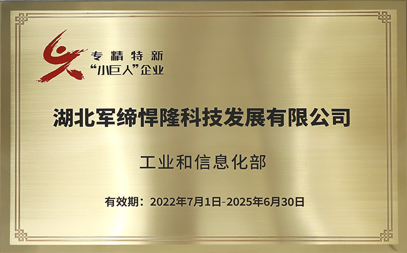 專精特新"小巨人"企業(yè)