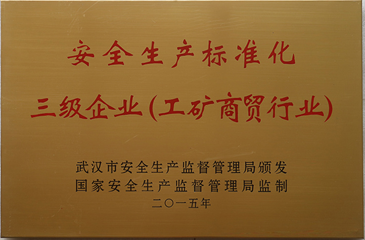 安全生產(chǎn)標(biāo)準(zhǔn)化三級企業(yè)