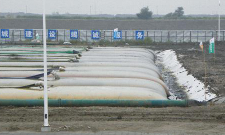 2010年天津中新生態(tài)城重金屬污水庫(kù)治理