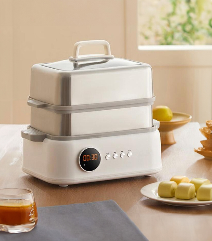 Electric Steamer