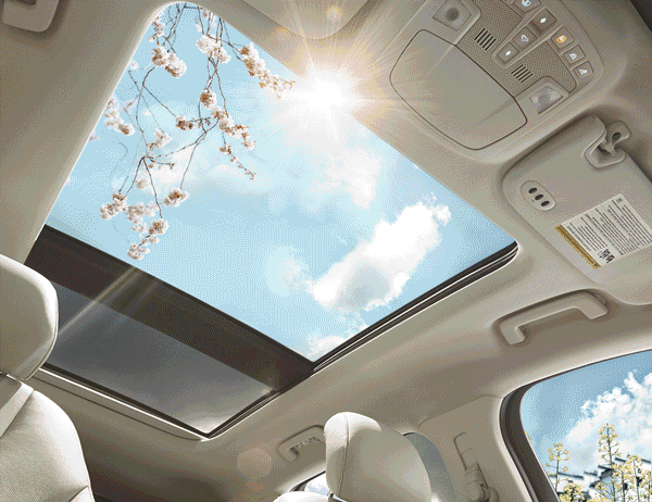 Do it yourself and don't ask for help: three steps in 10 minutes to restore the skylight to a young state.