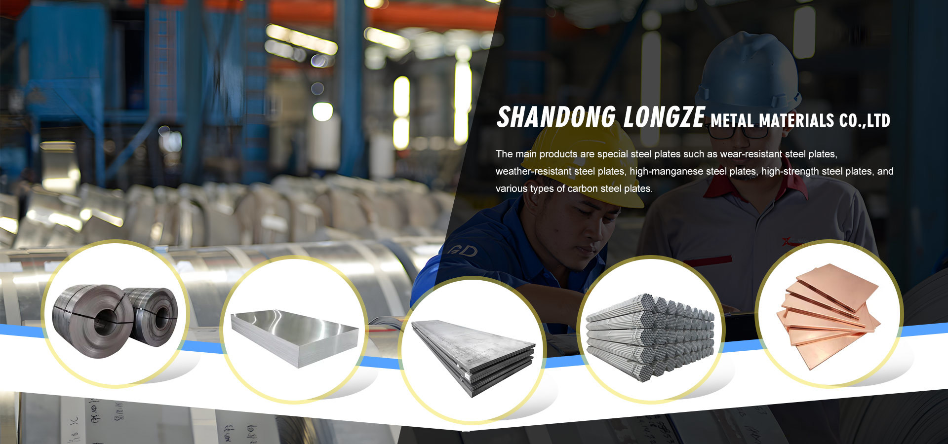 Shandong Longze Metal Materials Co.,Ltd