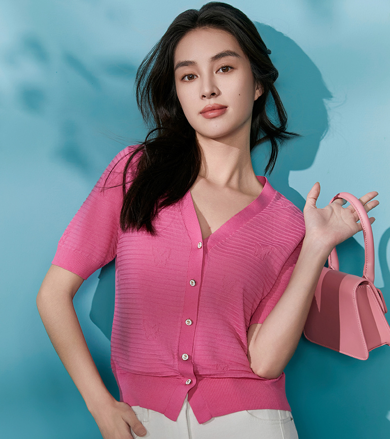 2025 Spring/Summer New Elegant Series Gentle Lady V-Neck Knitted Pullover