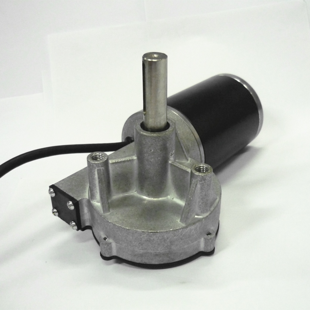 Worm Gear Motor-Products-Daiwei Motor