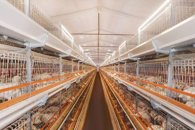 How to do a good air energy heat pump thermostat system for breeding?