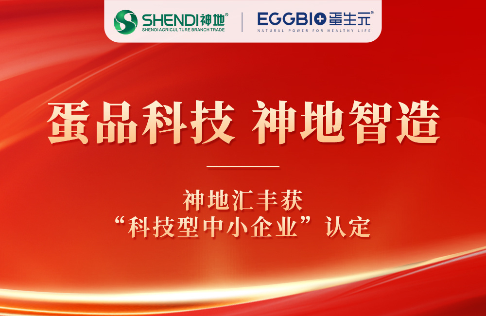 喜报 | 国家级认定！神地汇丰获科技型中小企业荣誉