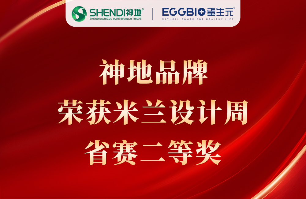 喜报 | 神地品牌荣获米兰设计周省赛二等奖