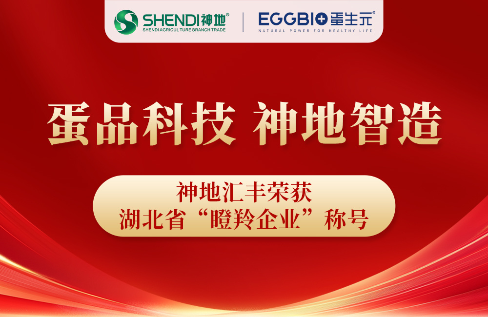 喜报 | 神地汇丰荣获湖北省“瞪羚企业”称号