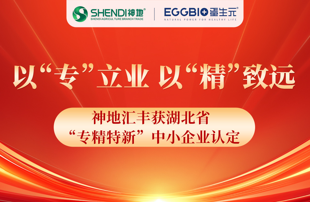喜报 | 神地汇丰获湖北省“专精特新”中小企业认定