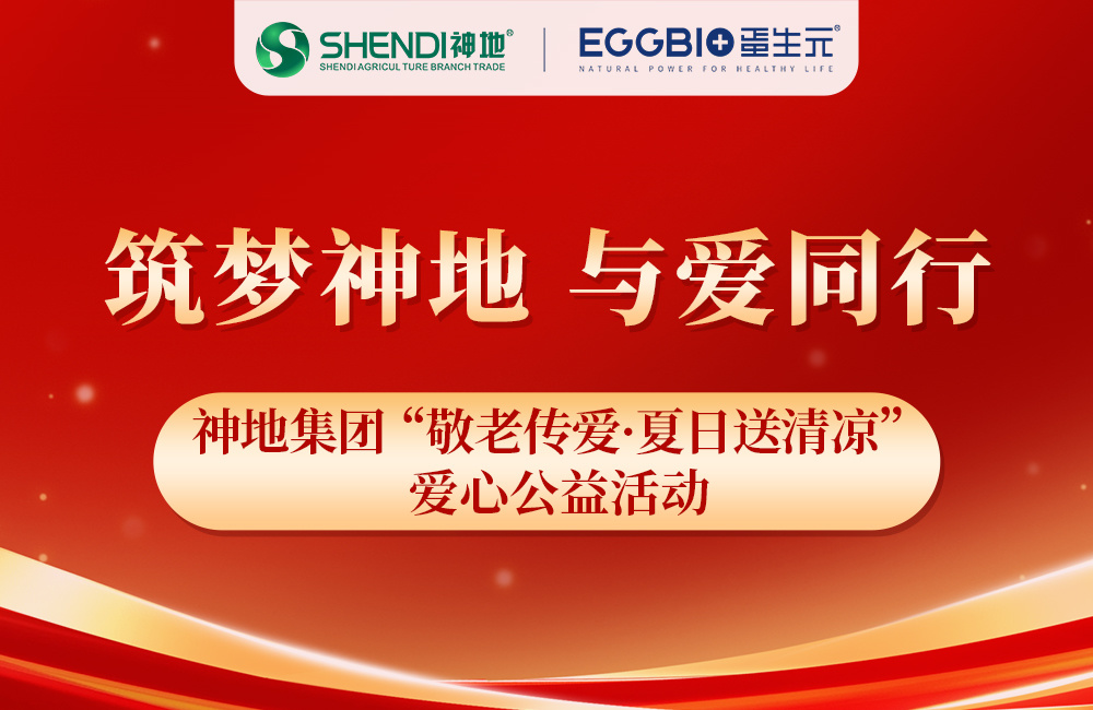 神地力量 | 神地集团开展“敬老传爱·夏日送清凉”爱心公益活动