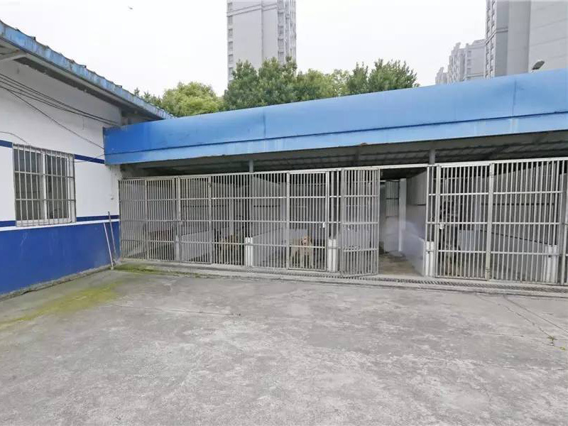 犬舍