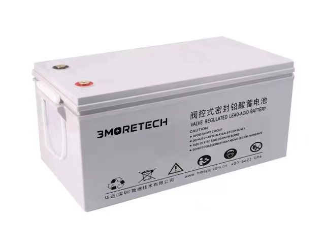 Valve-Regulated Sealed Lead-Acid Battery