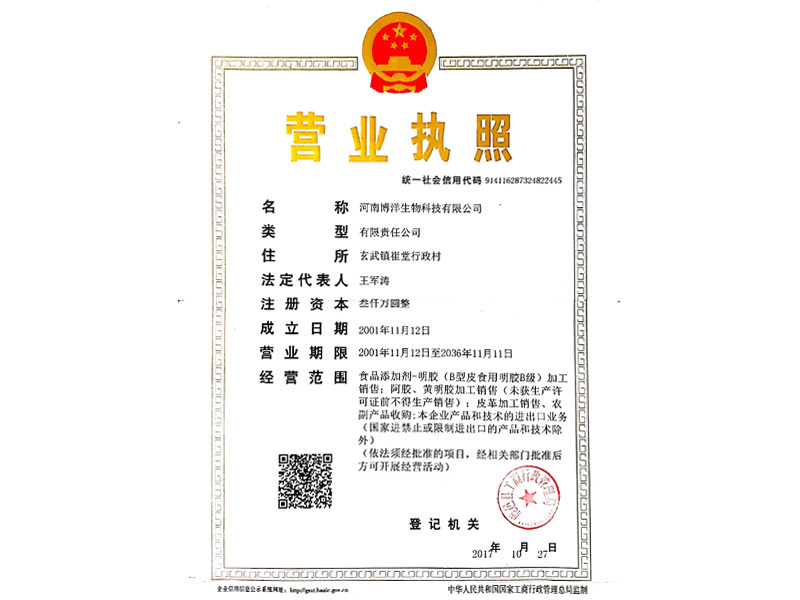 Business License