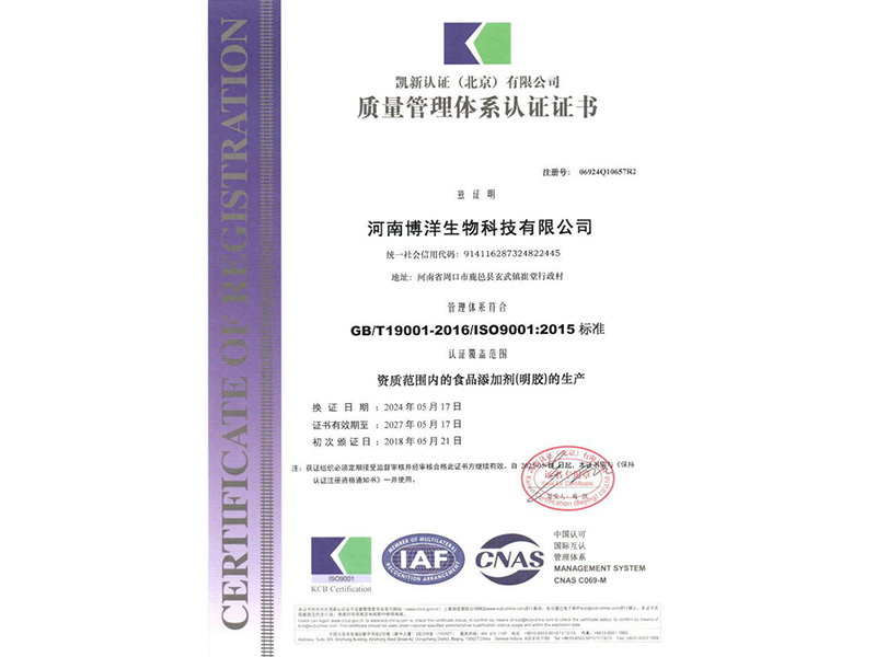 Quality Management System Certification