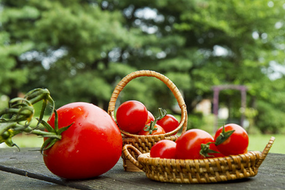 Specific conditions of social responsibility work