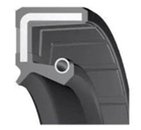 Double lip oil seal