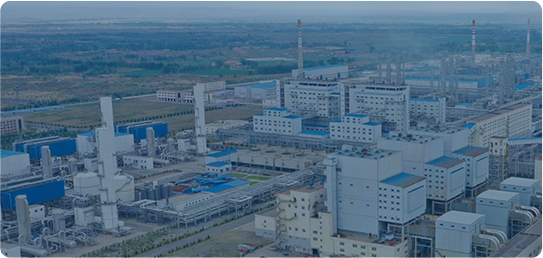 Coal Chemical & Petrochemical