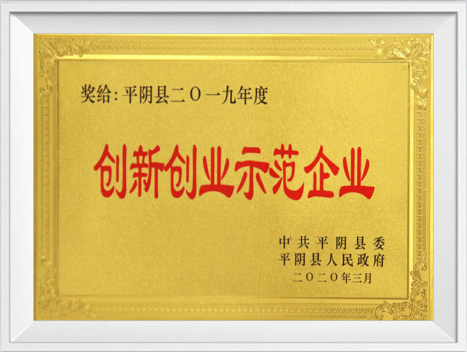 平陰縣2019創(chuàng)新創(chuàng)業(yè)示范企業(yè)