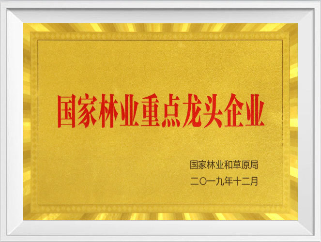 國(guó)家林業重點龍頭企業