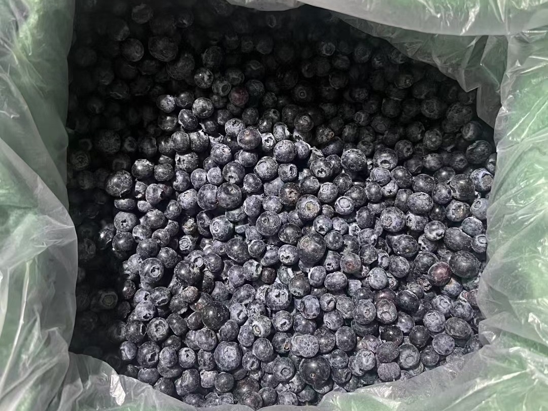 Quick Frozen Blueberry