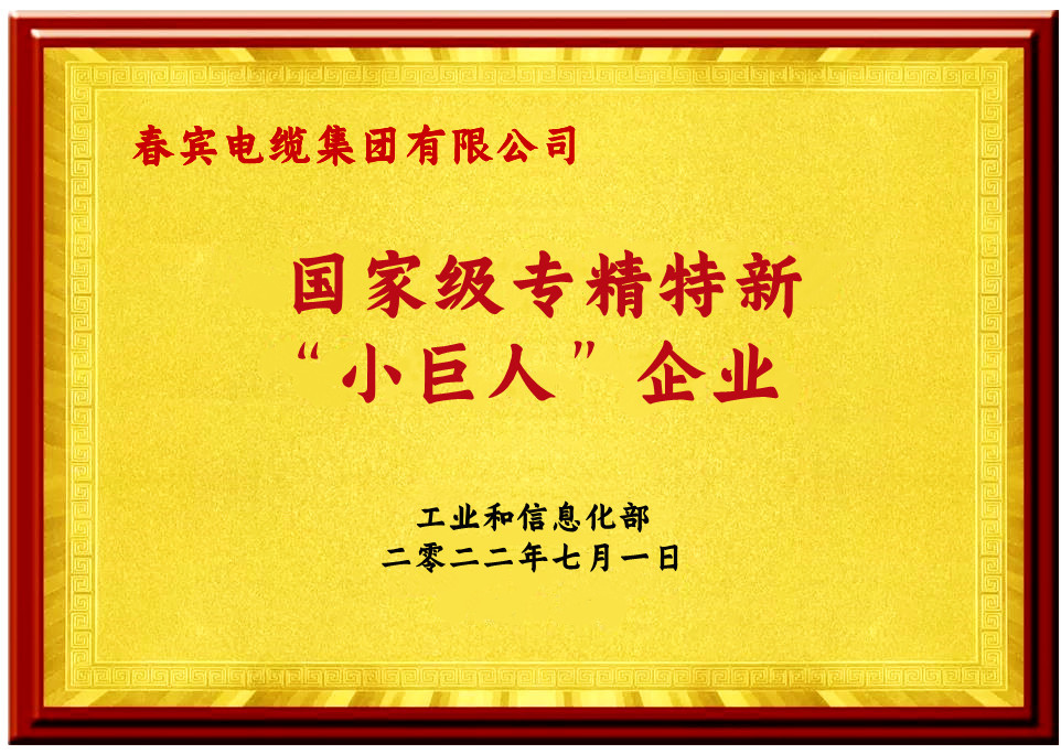 专精特新小巨人企业 专精特新小巨人企业