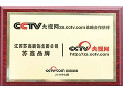 央视网战略合作伙伴