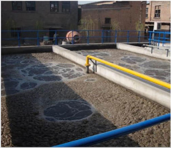 Pig slaughter wastewater treatment project