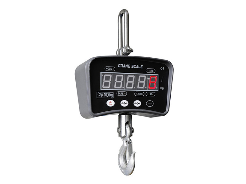 Crane Scales