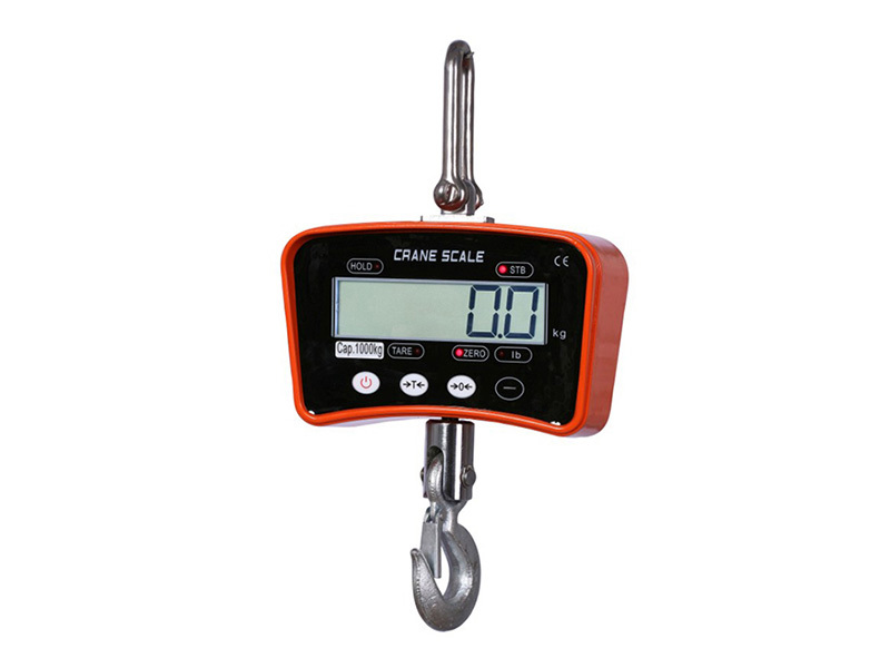 Crane Scales