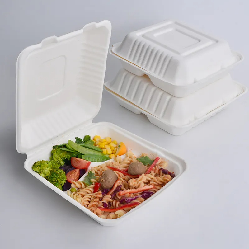 Disposable Food Lunch Container Compartments Sugarcane Clamshell Lunch Box