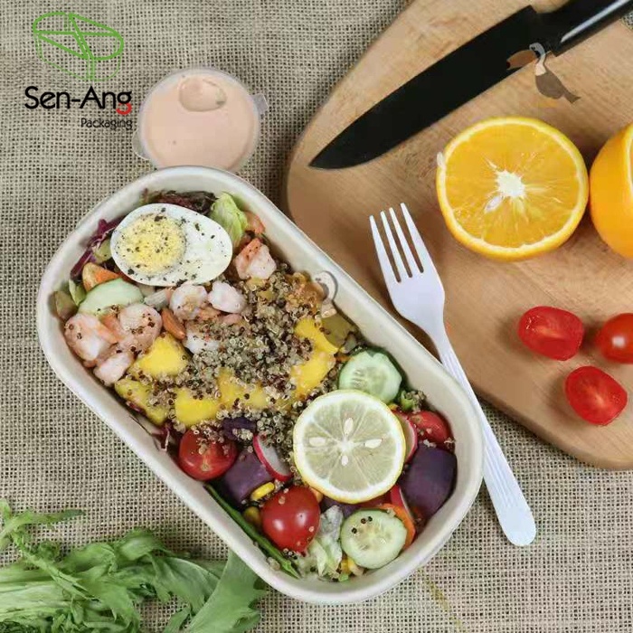 Biodegradable Environmental Takeaway Bento Box Sugarcane Food Container with Lid
