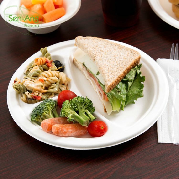 Popular Design Paper Color Square Dinner Bagasse Plate