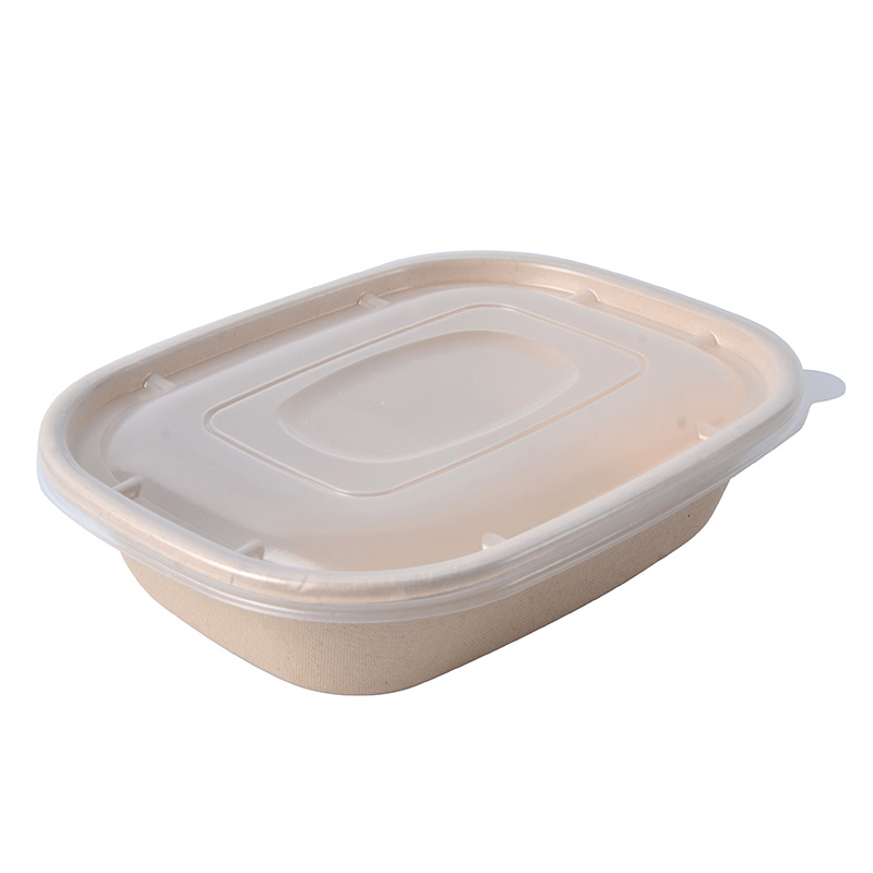 Disposable Lunch Box Microwave Takeaway Biodegradable Sugarcane Food Container