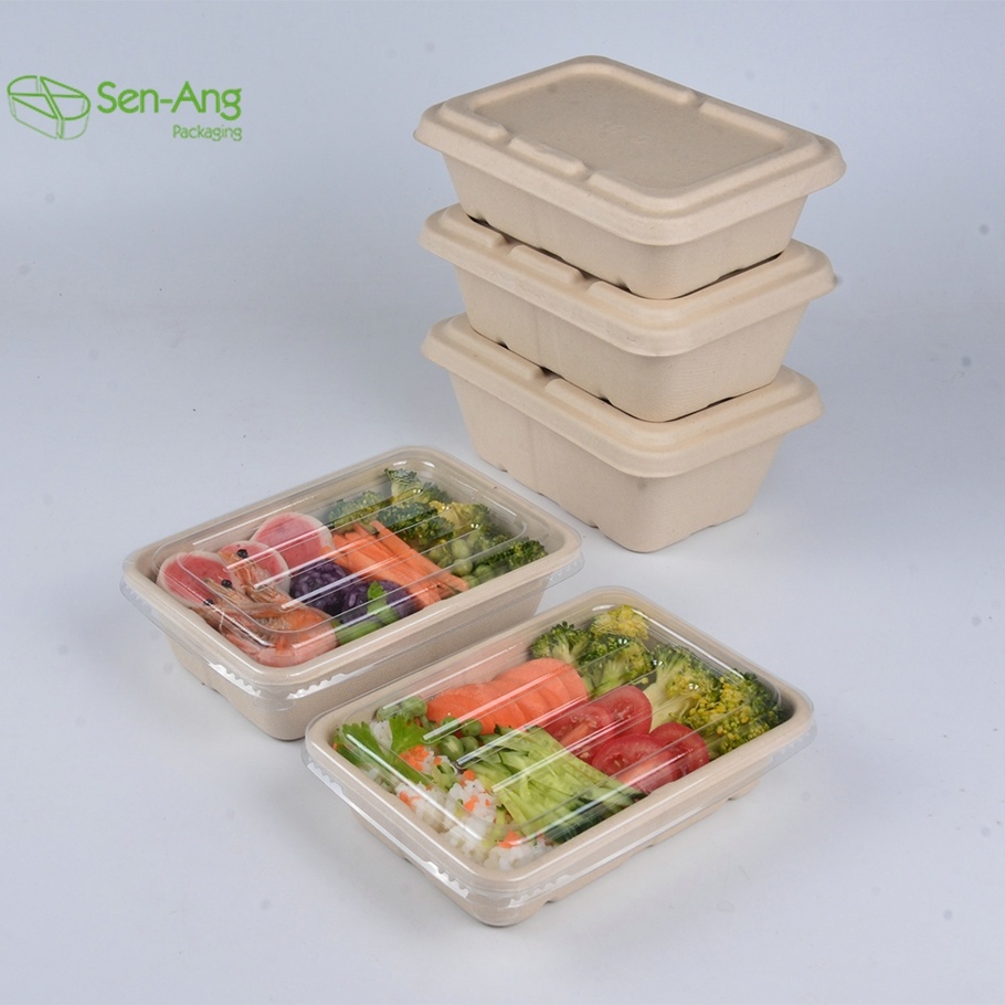 Biodegradable Sugarcane Multi Compartment with Lid Food Container