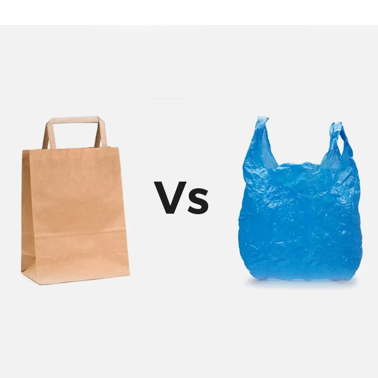 Paper bags versus plastic bags