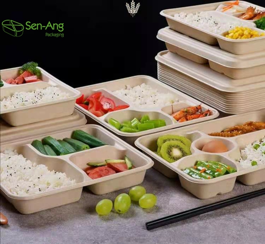 Disposable Square Burger Box Compartment Sugarcane Container with Lid
