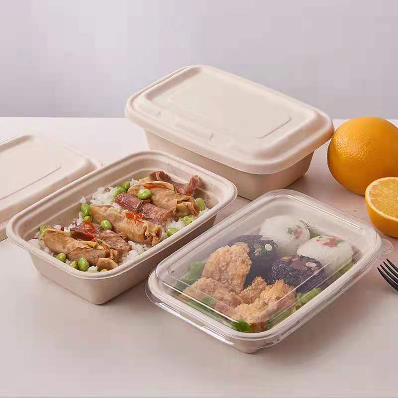 Biodegradable Eco-Friendly Takeaway Bagasse Lunch Box Sugarcane Food Container