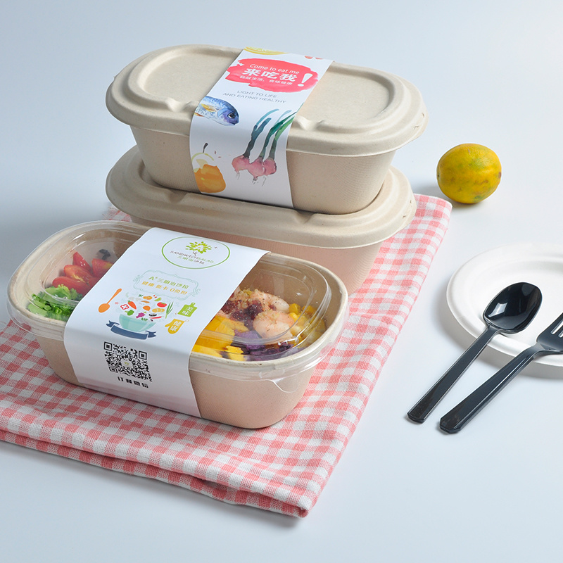 1000ml 2 Cells Disposable Take Away Sugarcane Meal Food Container