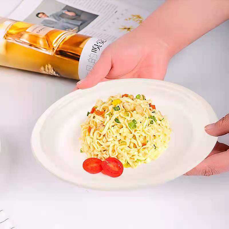 Disposable bagasse plates promote your green business