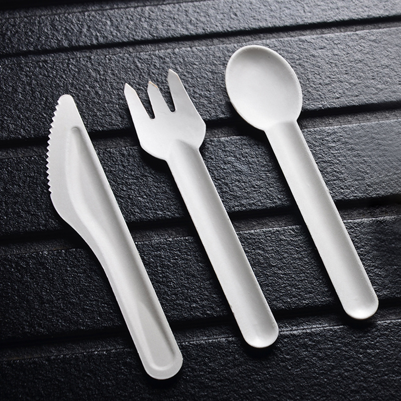 Disposable Biodegradable Bagasse Cutlery Forks Spoon Knife Set