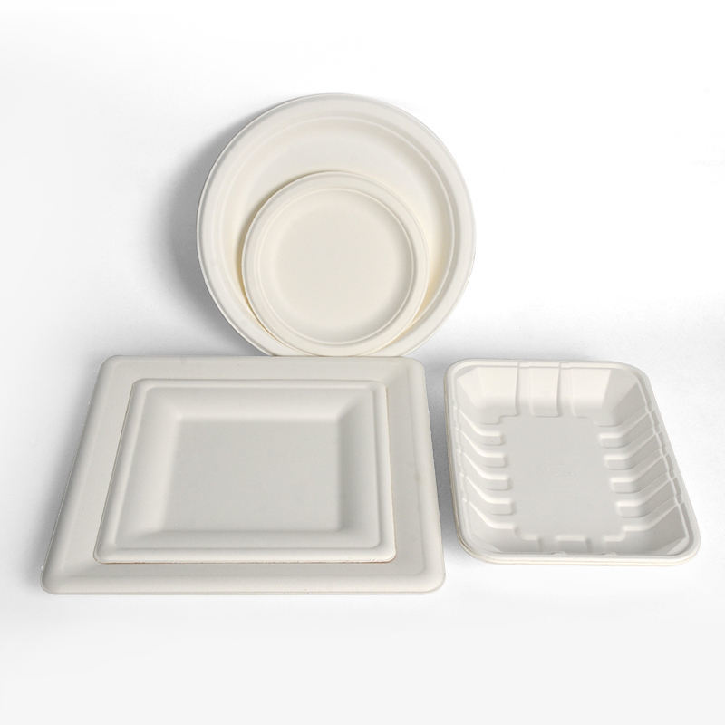 Disposable Compostable Leakproof Square Round Sugarcane Pulp Plate