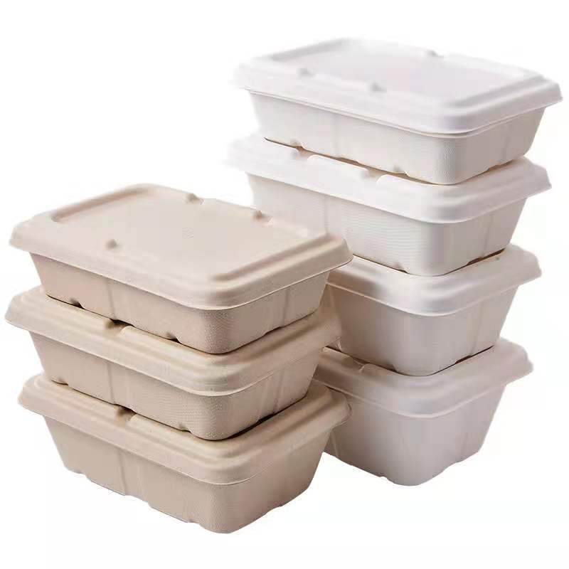 Custom Eco-Friendly Disposable Biodegradable Sugarcane Pulp Food Container with Lid