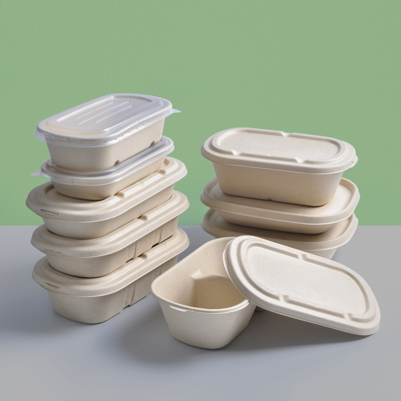 Fashion Take Away Bagasse Lunch Box with Lid Sugarcane Food Container