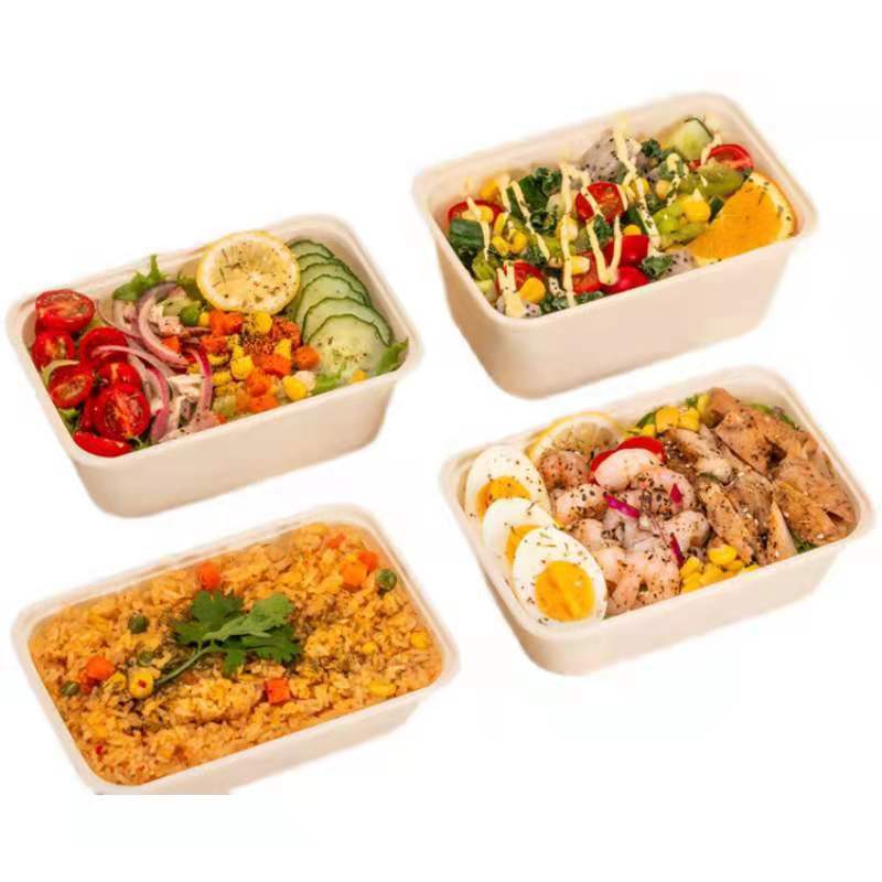 Biodegradable Disposable Sugarcane Bagasse Sushi Take Away Takeout Box