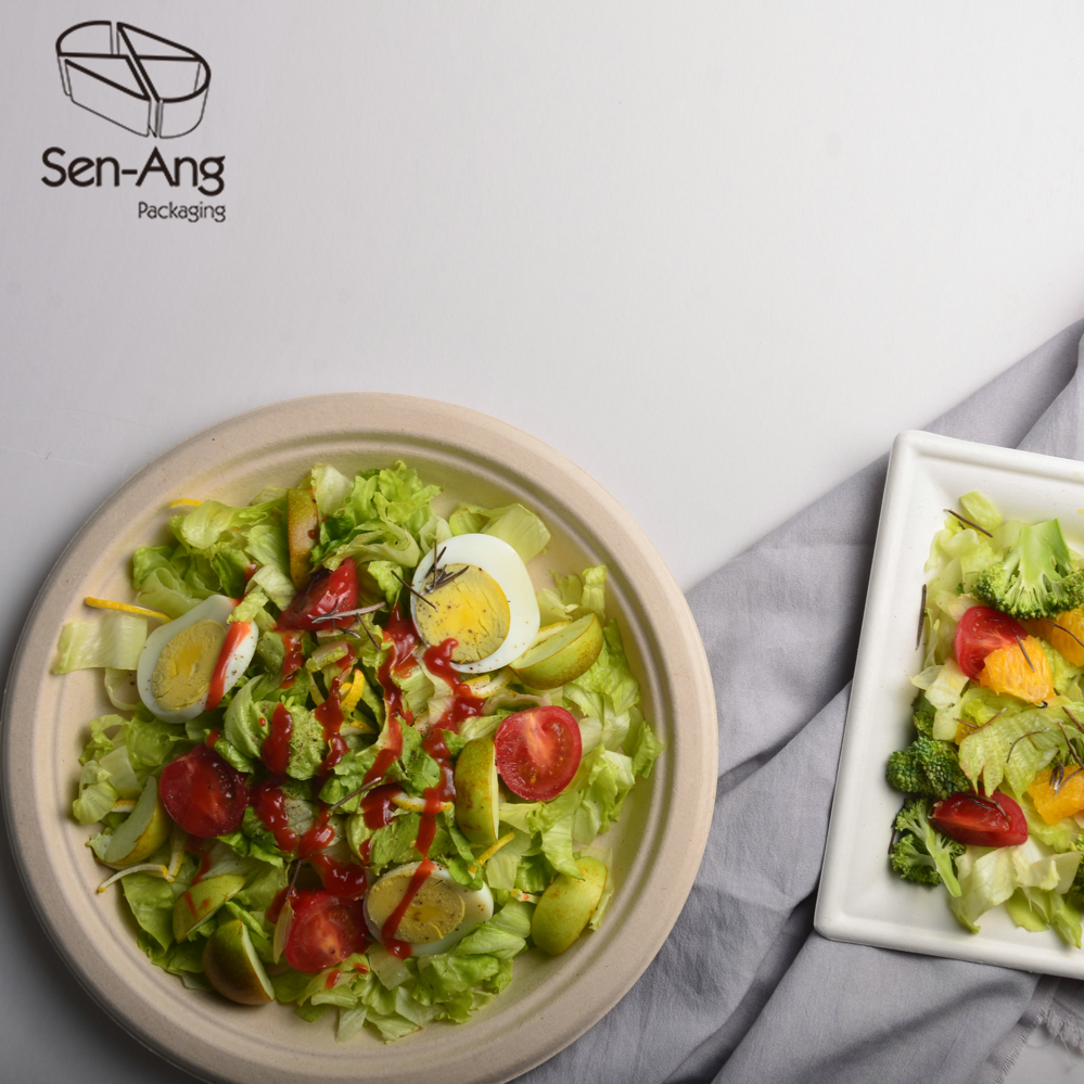 Disposable Compostable New Bagasse Tray Sugarcane Plate