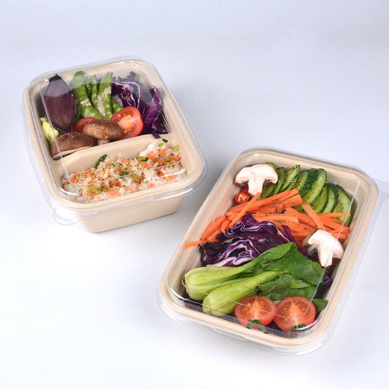 Factory Direct 750ml Bagasse Food Container Eco Friendly Compostable Bento Box with Lid